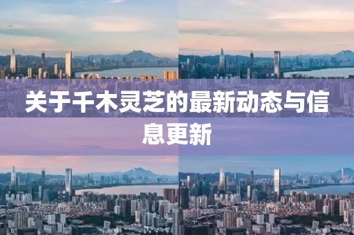 关于千木灵芝的最新动态与信息更新