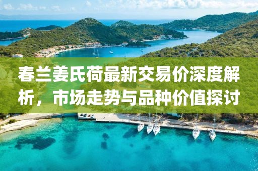 春兰姜氏荷最新交易价深度解析，市场走势与品种价值探讨