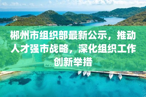 郴州市组织部最新公示，推动人才强市战略，深化组织工作创新举措