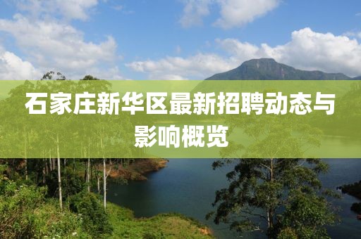 石家庄新华区最新招聘动态与影响概览