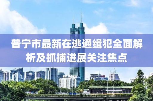 普宁市最新在逃通缉犯全面解析及抓捕进展关注焦点