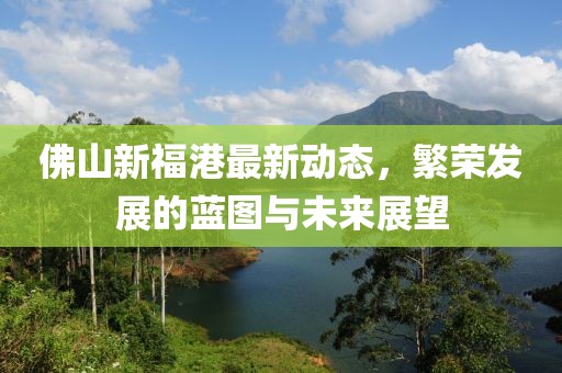 佛山新福港最新动态，繁荣发展的蓝图与未来展望