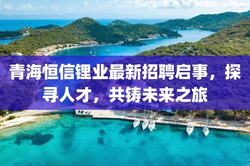 青海恒信锂业最新招聘启事，探寻人才，共铸未来之旅