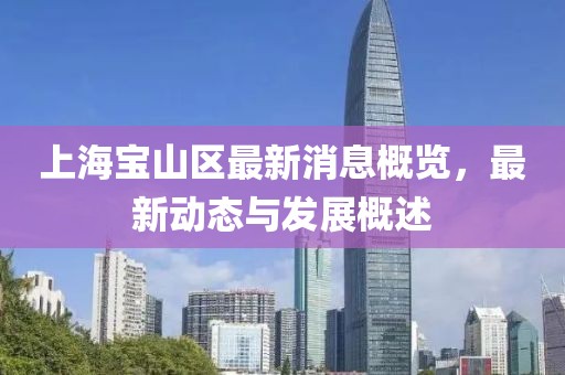 上海宝山区最新消息概览，最新动态与发展概述