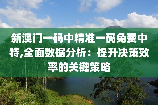 新澳门一码中精准一码免费中特,全面数据分析：提升决策效率的关键策略