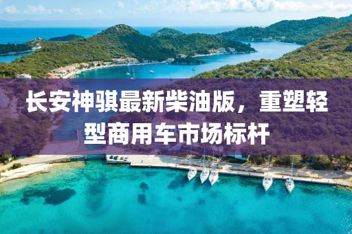 长安神骐最新柴油版，重塑轻型商用车市场标杆
