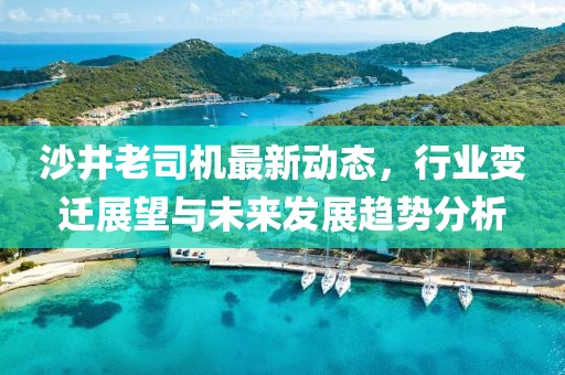 沙井老司机最新动态，行业变迁展望与未来发展趋势分析