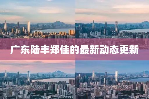 广东陆丰郑佳的最新动态更新