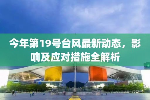 今年第19号台风最新动态，影响及应对措施全解析