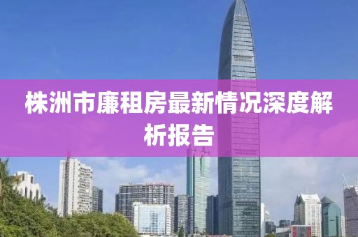 株洲市廉租房最新情况深度解析报告