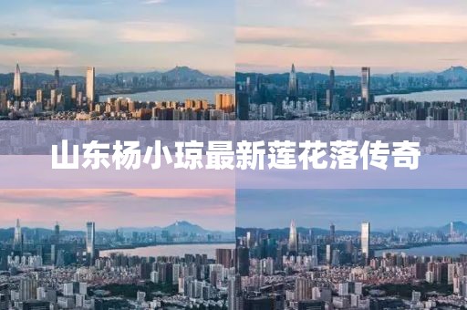 山东杨小琼最新莲花落传奇