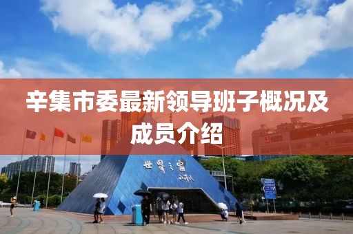 辛集市委最新领导班子概况及成员介绍