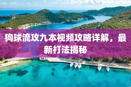 狗球流攻九本视频攻略详解，最新打法揭秘