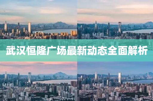 武汉恒隆广场最新动态全面解析