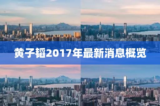 黄子韬2017年最新消息概览