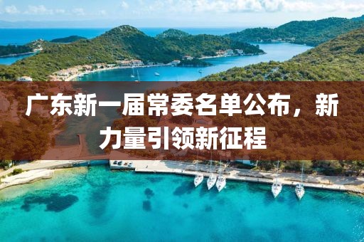 广东新一届常委名单公布，新力量引领新征程
