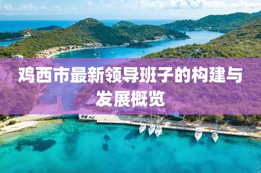 鸡西市最新领导班子的构建与发展概览