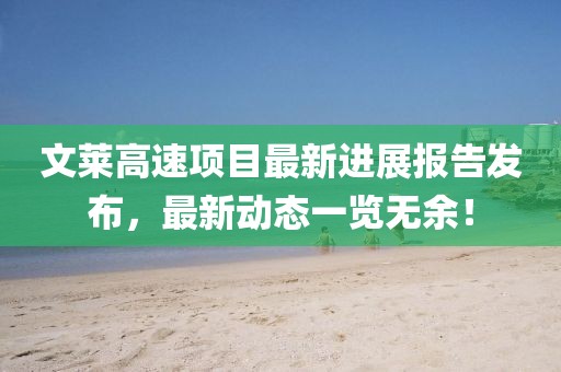文莱高速项目最新进展报告发布，最新动态一览无余！