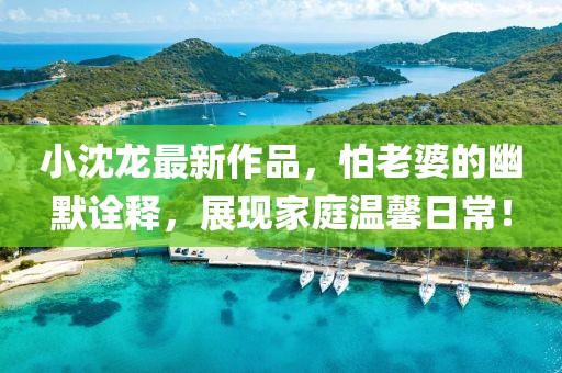 小沈龙最新作品，怕老婆的幽默诠释，展现家庭温馨日常！