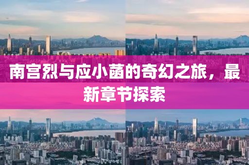 南宫烈与应小菡的奇幻之旅，最新章节探索