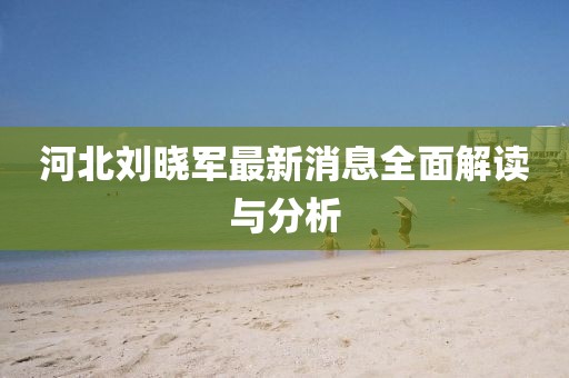 河北刘晓军最新消息全面解读与分析