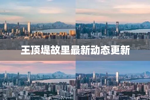 王顶堤故里最新动态更新