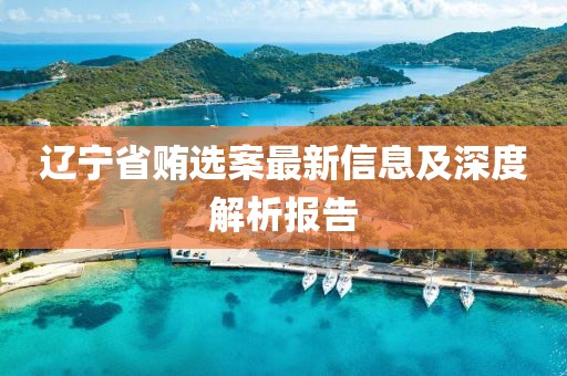 辽宁省贿选案最新信息及深度解析报告