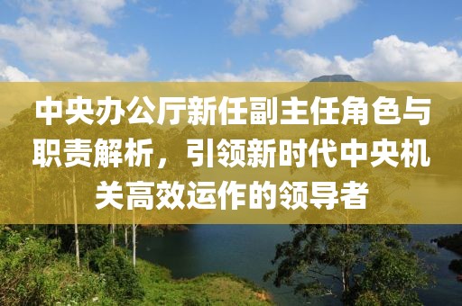 中央办公厅新任副主任角色与职责解析，引领新时代中央机关高效运作的领导者