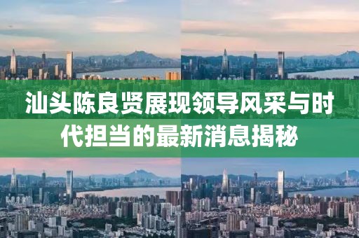 汕头陈良贤展现领导风采与时代担当的最新消息揭秘