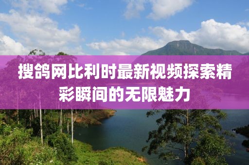 搜鸽网比利时最新视频探索精彩瞬间的无限魅力