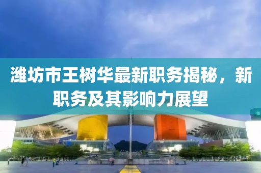潍坊市王树华最新职务揭秘，新职务及其影响力展望