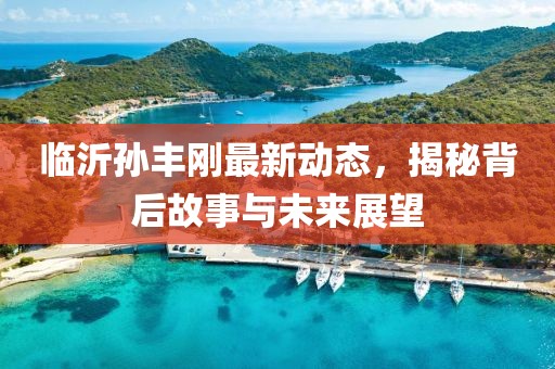 临沂孙丰刚最新动态，揭秘背后故事与未来展望