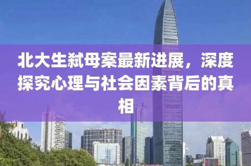 北大生弑母案最新进展，深度探究心理与社会因素背后的真相