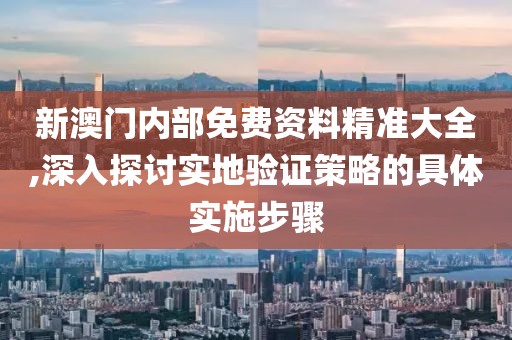 新澳门内部免费资料精准大全,深入探讨实地验证策略的具体实施步骤
