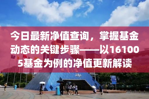 今日最新净值查询，掌握基金动态的关键步骤——以161005基金为例的净值更新解读