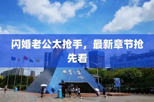闪婚老公太抢手，最新章节抢先看