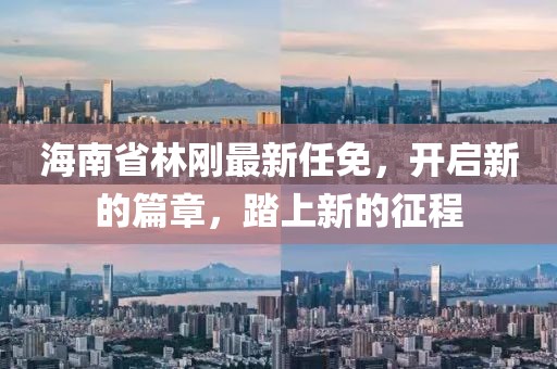 海南省林刚最新任免，开启新的篇章，踏上新的征程