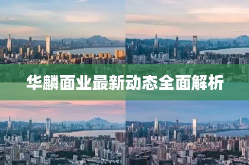 华麟面业最新动态全面解析