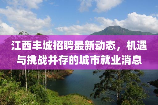 江西丰城招聘最新动态，机遇与挑战并存的城市就业消息