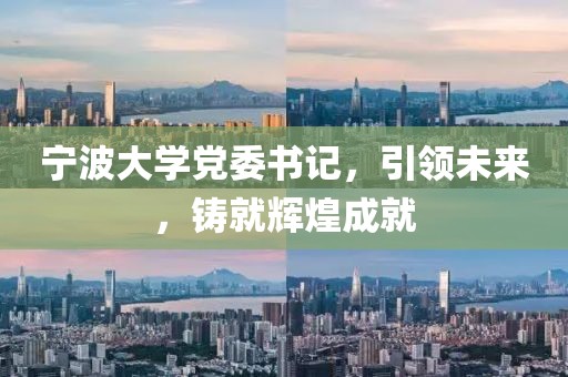 宁波大学党委书记，引领未来，铸就辉煌成就