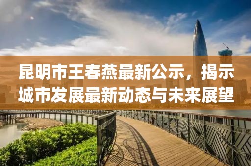 昆明市王春燕最新公示，揭示城市发展最新动态与未来展望