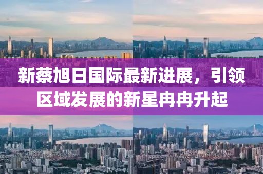 新蔡旭日国际最新进展，引领区域发展的新星冉冉升起