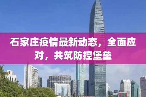 石家庄疫情最新动态，全面应对，共筑防控堡垒