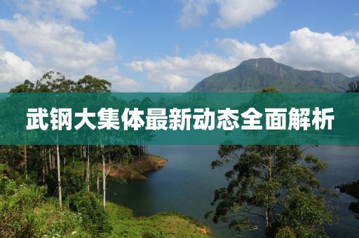武钢大集体最新动态全面解析