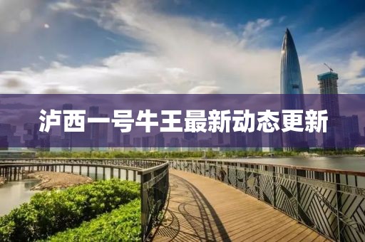 泸西一号牛王最新动态更新