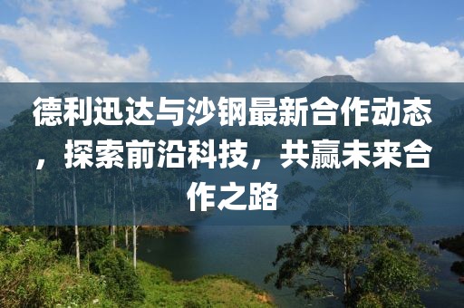德利迅达与沙钢最新合作动态，探索前沿科技，共赢未来合作之路