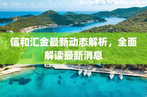 信和汇金最新动态解析，全面解读最新消息