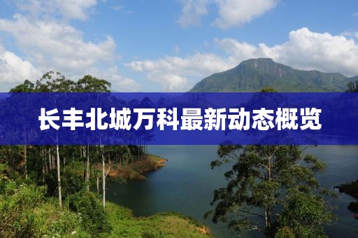 长丰北城万科最新动态概览