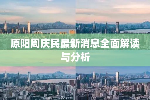 原阳周庆民最新消息全面解读与分析