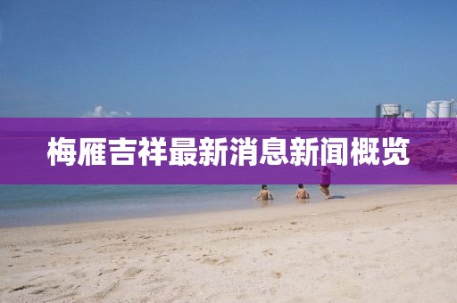 梅雁吉祥最新消息新闻概览